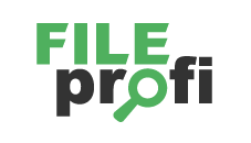 FileProfi - профессиональное восстановление данных в Пскове